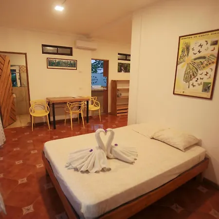 Hotel Pura Natura Beachfront Tortuguero Exterior photo