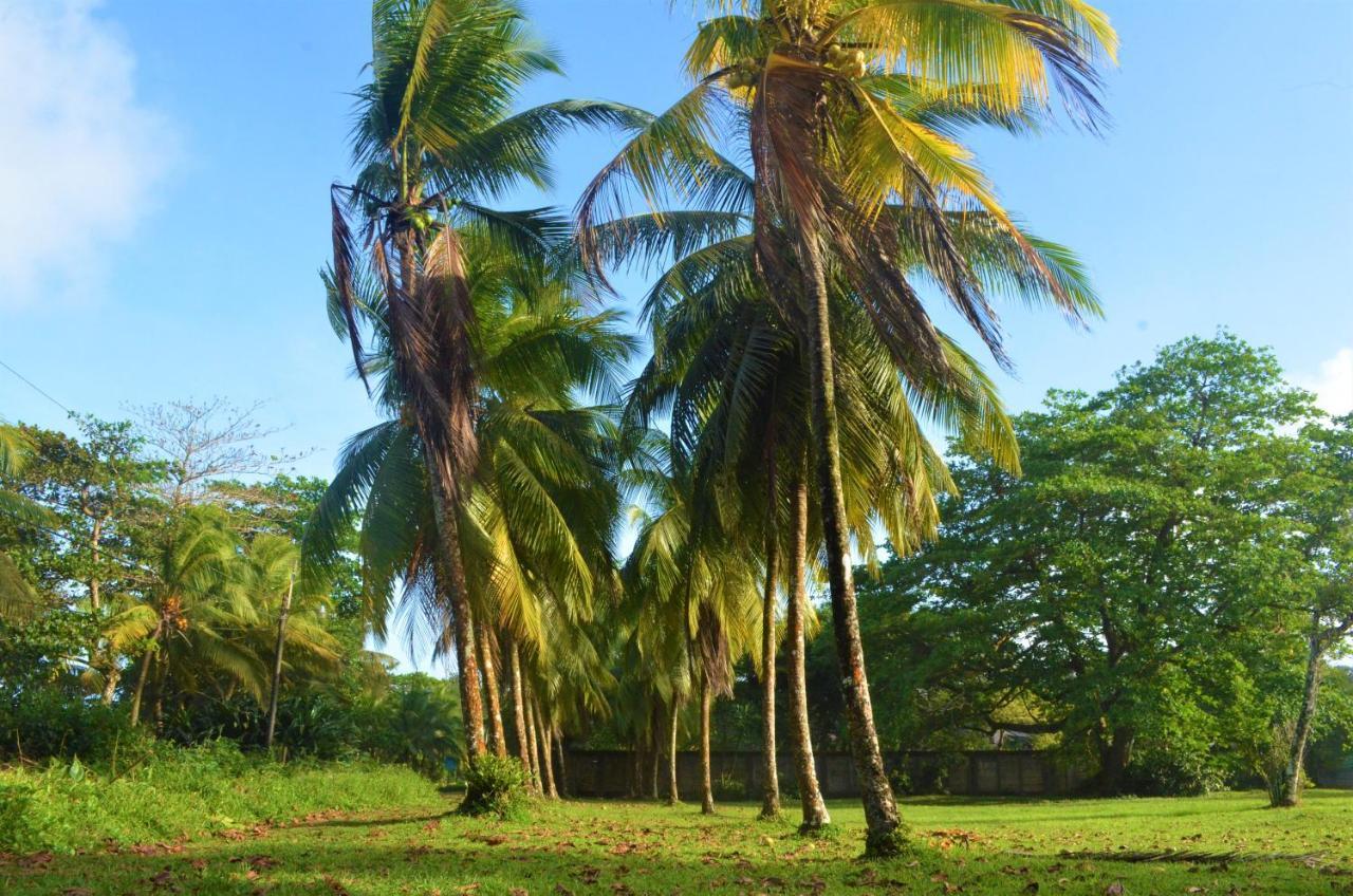Pura Natura Gasthof