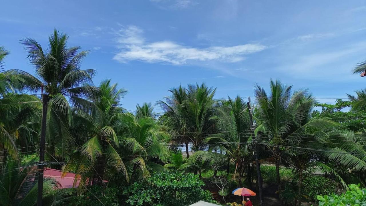 Gasthof Pura Natura Tortuguero